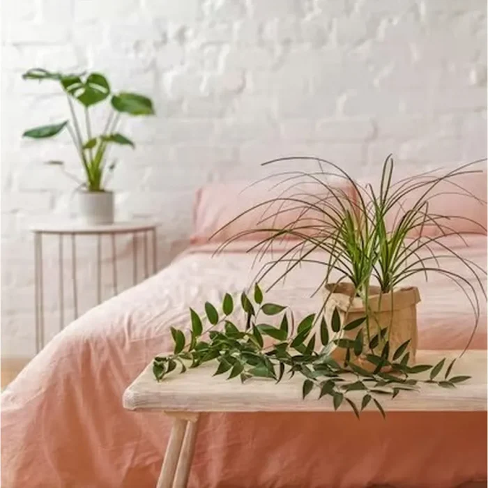 Cearceaf de pat Best Cotton, 100% bumbac, Olandina color, 220x240 cm, somon - imagine 2