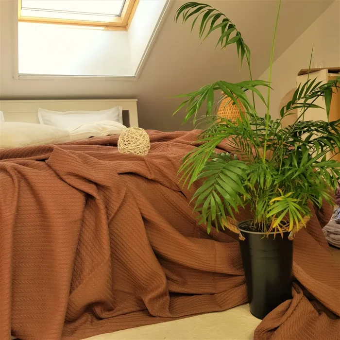 Cuvertura Best Cotton - Pique, 220x240 cm,100% bumbac, ciocolata - imagine 4