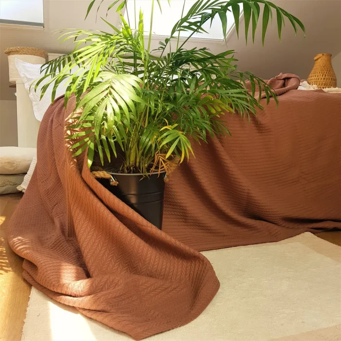 Cuvertura Best Cotton - Pique, 220x240 cm,100% bumbac, ciocolata - imagine 3