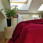 Cuvertura Best Cotton - Pique, 220x240 cm,100% bumbac, bordo - imagine 9