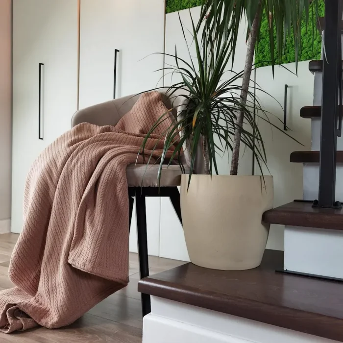 Cuvertura Best Cotton - Pique, 220x240 cm,100% bumbac, cacao - imagine 3