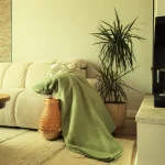 Cuvertura Best Cotton - Pique, 220x240 cm,100% bumbac, verde menta - imagine 4