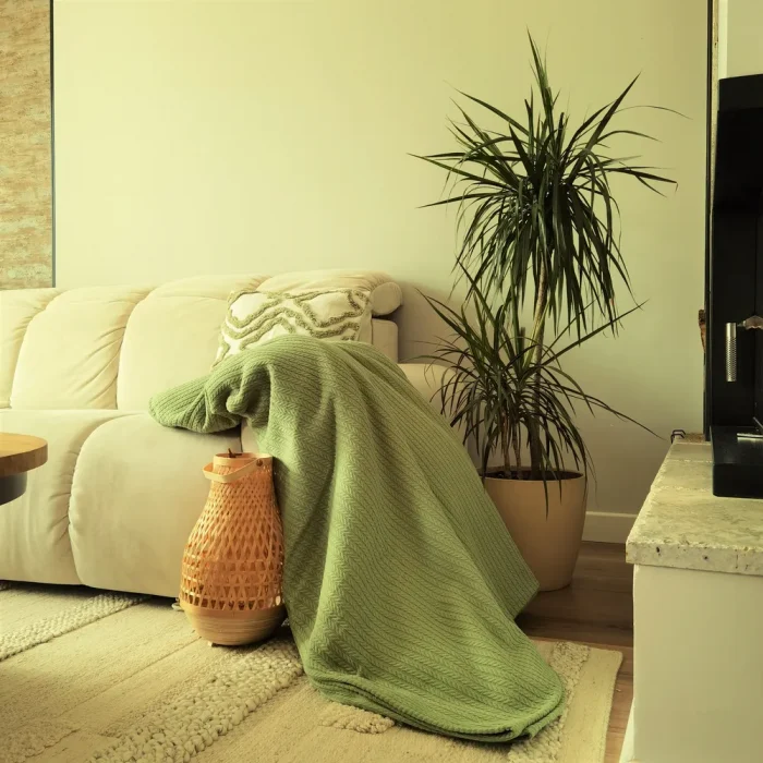 Cuvertura Best Cotton - Pique, 220x240 cm,100% bumbac, verde menta - imagine 4