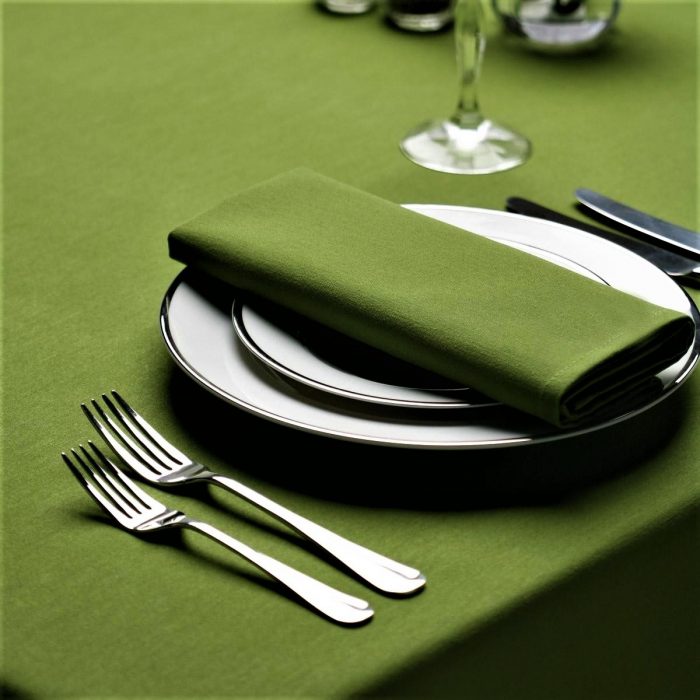 Fata de masa Best Cotton - Delice Verde, 100% bumbac - imagine 2