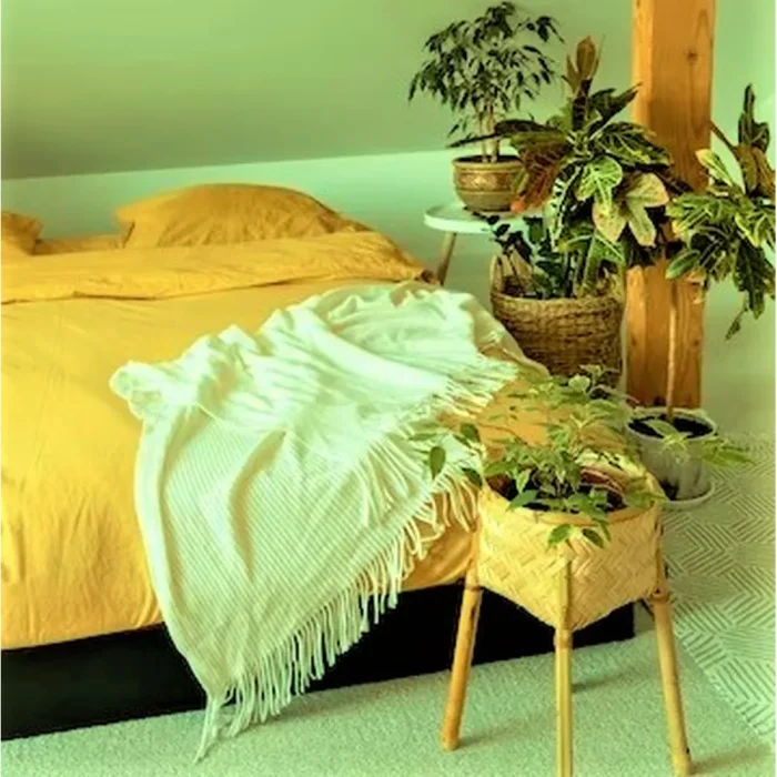 Cearceaf de pat Best Cotton, 100% bumbac, Olandina color, 220x240 cm, galben - imagine 2