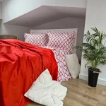 Lenjerie de pat Best Cotton 2 persoane, 100% bumbac, Ranforce Deco - 38 - imagine 3