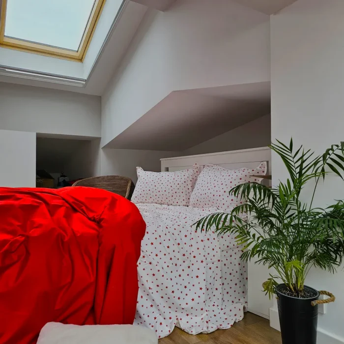 Lenjerie de pat Best Cotton 2 persoane, 100% bumbac, Ranforce Deco - 41 - imagine 3