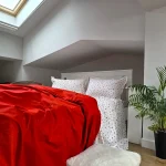 Lenjerie de pat Best Cotton 2 persoane, 100% bumbac, Ranforce Deco - 41 - imagine 4