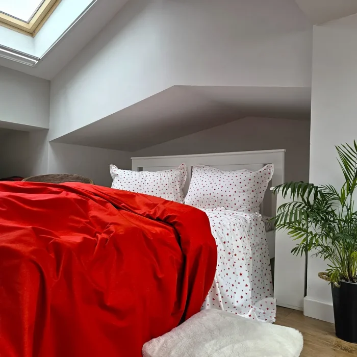 Lenjerie de pat Best Cotton 2 persoane, 100% bumbac, Ranforce Deco - 41 - imagine 4