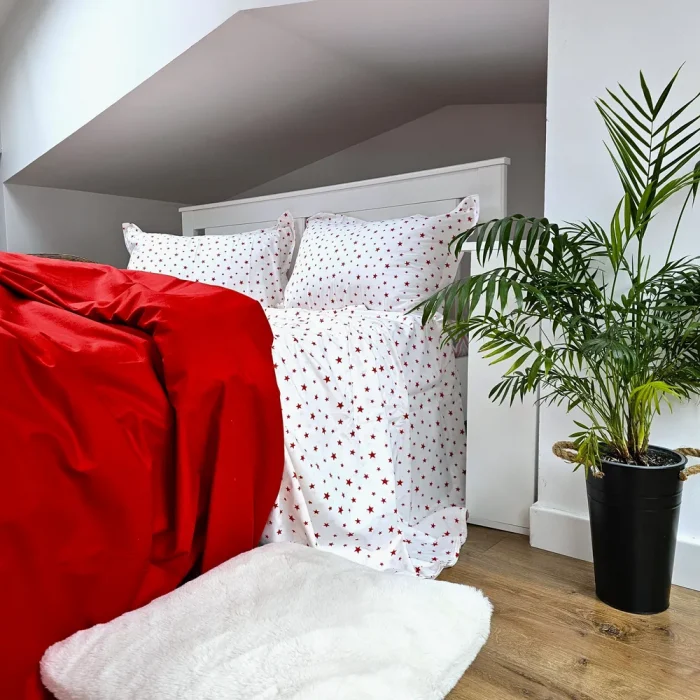 Lenjerie de pat Best Cotton 2 persoane, 100% bumbac, Ranforce Deco - 41 - imagine 2