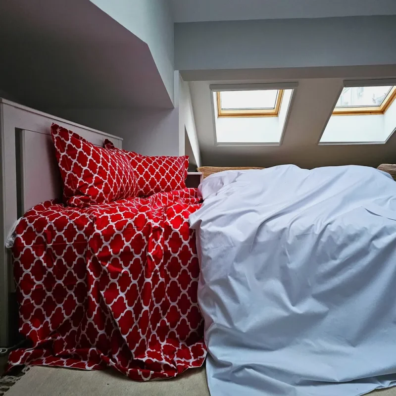 engros-lenjerie de pat astoria home 2 persoane ranforce color deco bumbac 6