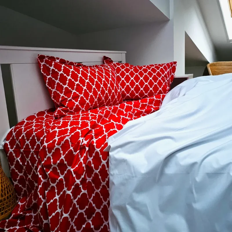 engros-lenjerie de pat astoria home 2 persoane ranforce color deco bumbac 9