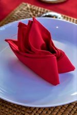 Servete de masa Best Cotton - 27x40 cm, Damasc Saten DeLux, 100% bumbac, rosu - 6 bucati - imagine 3