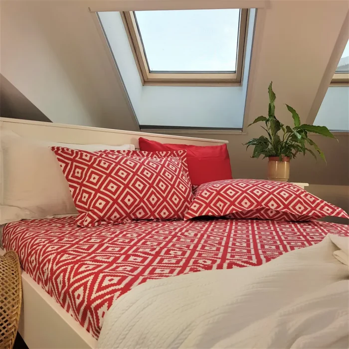 Pachet cearsaf de pat 220x240 cm + 2 fete de perna 50x70 cm Best Cotton Deco 56 - Ranforce color, 100% bumbac - imagine 5