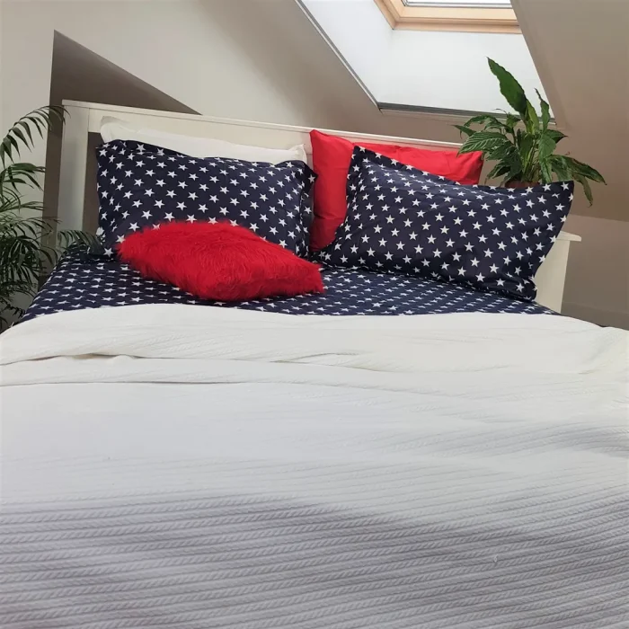 Pachet cearsaf de pat 220x240 cm + 2 fete de perna 50x70 cm Best Cotton Deco 53 - Ranforce color, 100% bumbac - imagine 3