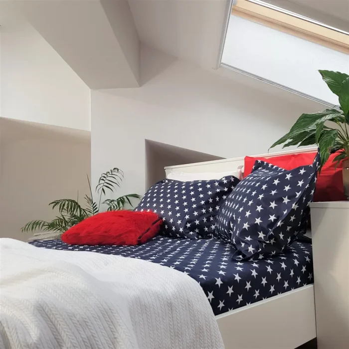 Pachet cearsaf de pat 220x240 cm + 2 fete de perna 50x70 cm Best Cotton Deco 53 - Ranforce color, 100% bumbac - imagine 2