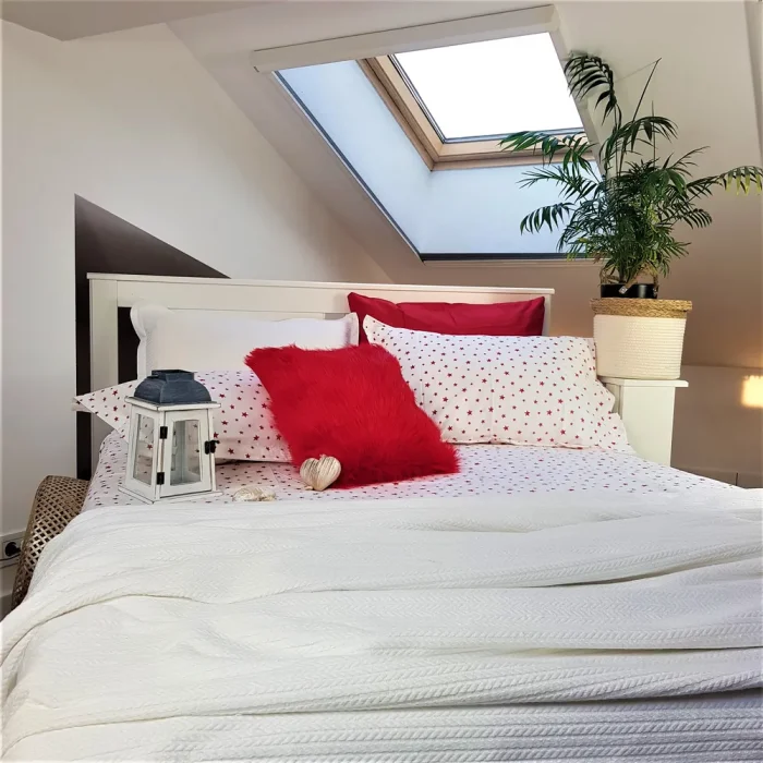 Pachet cearceaf de pat 220x240 cm + 2 fete de perna 50x70 cm Best Cotton Deco 57 - Ranforce color, 100% bumbac - imagine 3