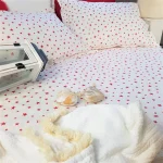 Pachet cearceaf de pat 220x240 cm + 2 fete de perna 50x70 cm Best Cotton Deco 57 - Ranforce color, 100% bumbac