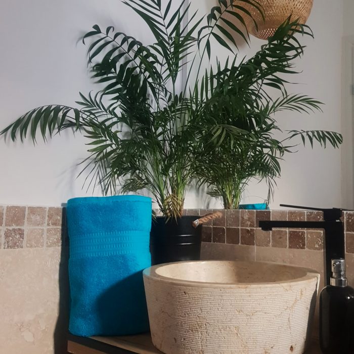 Prosop baie Rise Jacquard - 100% Bumbac, 500g/mp, turquoise - imagine 3