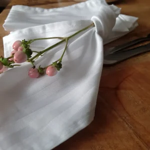 engros-servete de masa astoria home damasc saten deco 1 cm bumbac alb restaurant 4
