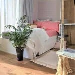 Pachet cearsaf de pat 220x240 cm + 2 fete de perna 50x70 cm Best Cotton Deco 46 - Ranforce color, 100% bumbac - imagine 4