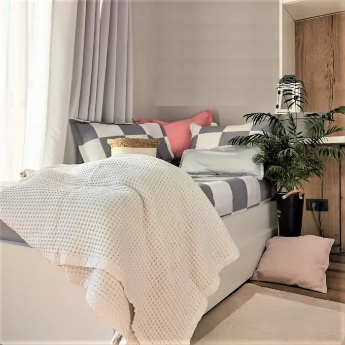 Pachet cearsaf de pat 220x240 cm + 2 fete de perna 50x70 cm Best Cotton Deco 41 - Ranforce color, 100% bumbac - imagine 2