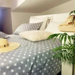 Pachet cearceaf de pat 220x240 cm + 2 fete de perna 50x70 cm Best Cotton Deco 5 - Ranforce color, 100% bumbac - imagine 2