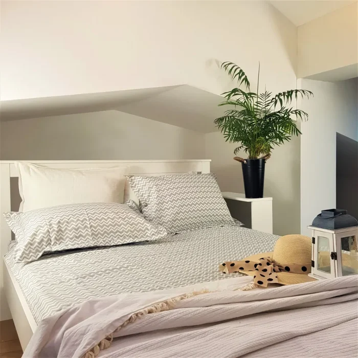 Pachet cearceaf de pat 220x240 cm + 2 fete de perna 50x70 cm Best Cotton Deco 3 - Ranforce color, 100% bumbac - imagine 2