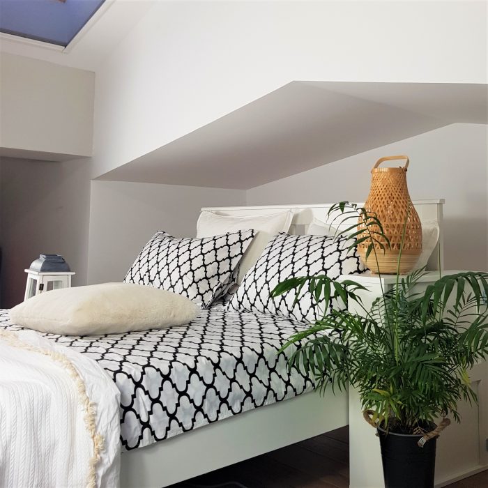 Pachet cearceaf de pat 220x240 cm + 2 fete de perna 50x70 cm Best Cotton Deco 15 - Ranforce color, 100% bumbac - imagine 4